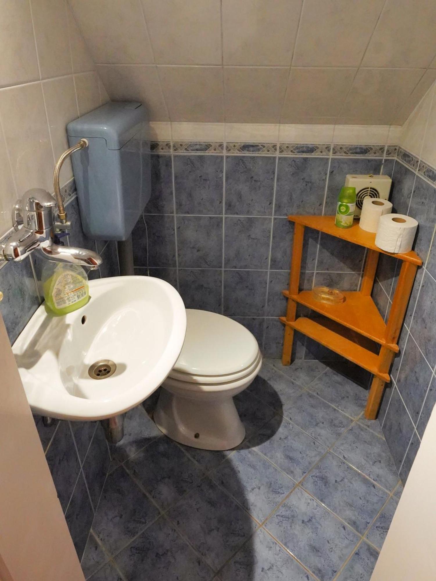 Sobe In Apartmaji Pri Ukcu Bohinj Eksteriør billede